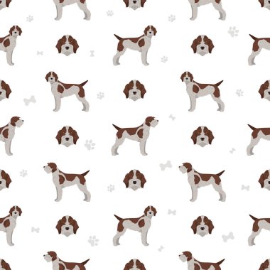 Tel saçlı, sivri uçlu, kusursuz Griffon patetrn. Farklı pozlar, farklı renkler. Vektör illüstrasyonu