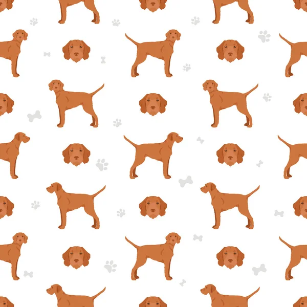 Vizsla Wirehaired Seamless Pattern Different Poses Coat Colors Set Vector — Stock Vector