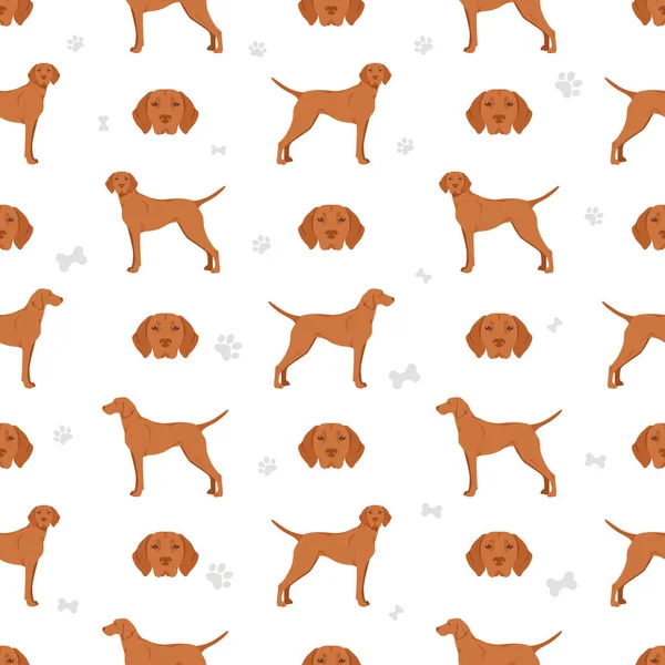 Vizsla Shorthaired Seamless Pattern Different Poses Coat Colors Set Vector — Stock Vector