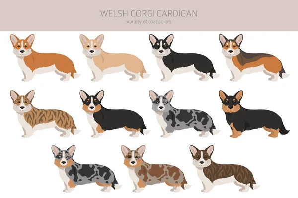 Walijski Kardigan Corgi Clipart Różne Pozy Zestaw Kolorów Płaszcza Ilustracja — Wektor stockowy