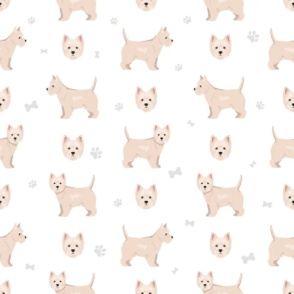 West Highland White Terrier Bezproblémový Vzor Různé Pózy Barvy Srsti — Stockový vektor