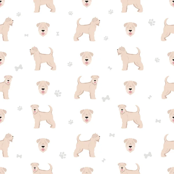 Μαλακή Επικάλυψη Wheaten Terrier Απρόσκοπτη Μοτίβο Διαφορετικές Πόζες Σετ Χρωμάτων — Διανυσματικό Αρχείο