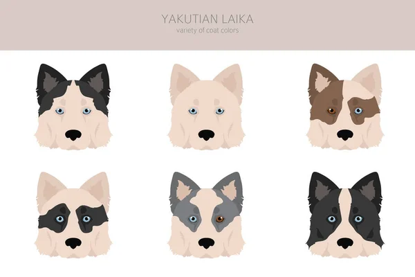 Clipart Yakutian Laika Poses Diferentes Conjunto Cores Casaco Ilustração Vetorial —  Vetores de Stock