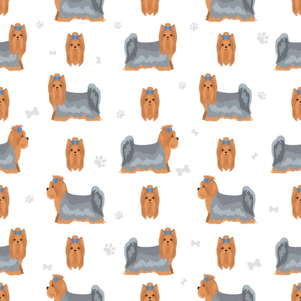 Yorkshire Terrier Patrón Sin Costuras Distintas Poses Colores Del Abrigo — Vector de stock
