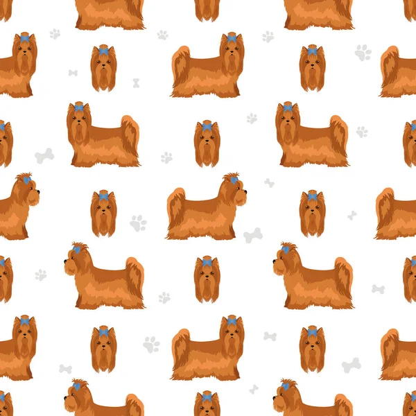 Yorkshire Terrier Motif Sans Couture Différentes Poses Couleurs Manteau Réglées — Image vectorielle