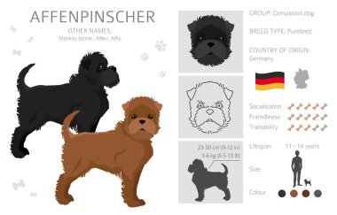 Her rengin dağılmasını sağlarım. Farklı ceket renkleri. Vektör illüstrasyonu