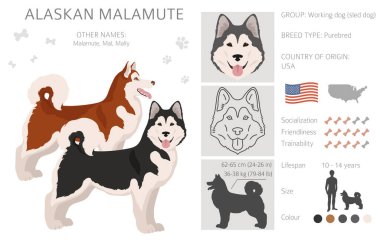 Alaska 'da her renkten insan tırmalanır. Farklı ceket renkleri ve pozlar. Vektör illüstrasyonu