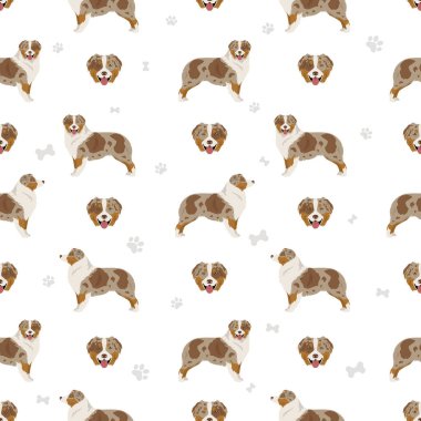 Avustralya çoban köpeği desenli. Arka plan Avustralyalı seti. Vektör illüstrasyonu