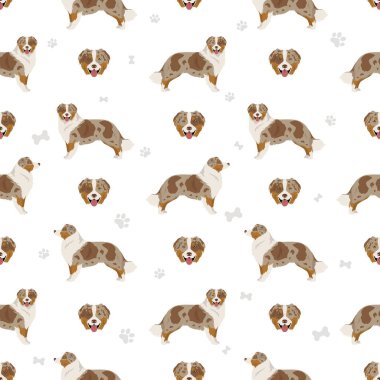 Avustralya çoban köpeği desenli. Arka plan Avustralyalı seti. Vektör illüstrasyonu