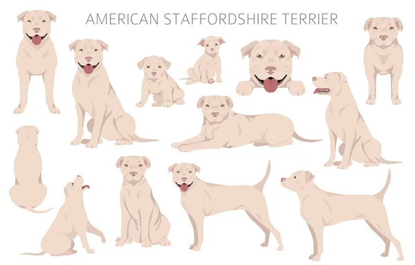 American Staffordshire Teriér Clipart Barvy Kabátu Nastaveny Všichni Psi Plemeno — Stockový vektor