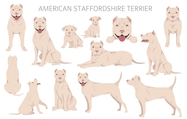 Αμερικάνικο Τεριέ Σταφφορντσάιρ Κλιπ Χρωματιστά Σετ Όλα Σκυλιά Φυλές Χαρακτηριστικά — Διανυσματικό Αρχείο