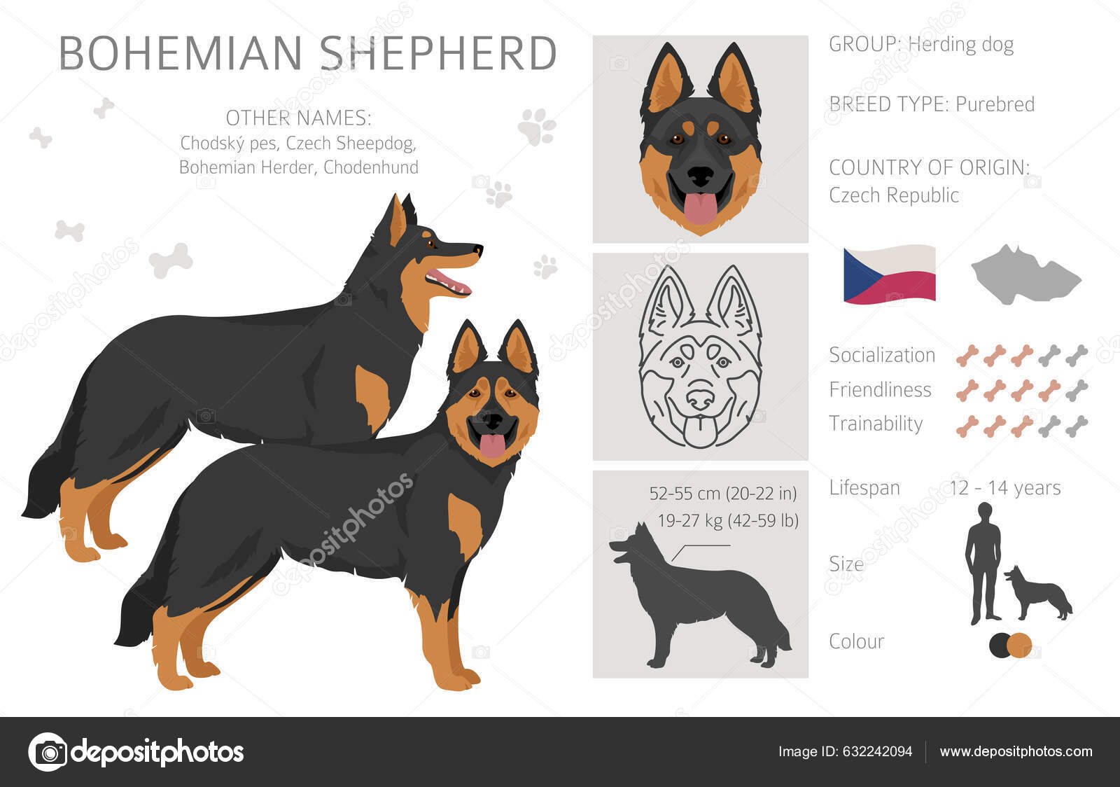German Shepherd All Indian Breed Dogs Alsatian Name Origin Naughty