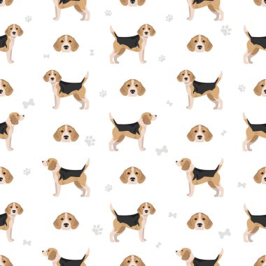 Beagle köpeği kusursuz desen. Vektör illüstrasyonu