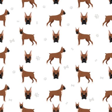 Boksör köpeği kusursuz desen. Vektör illüstrasyonu