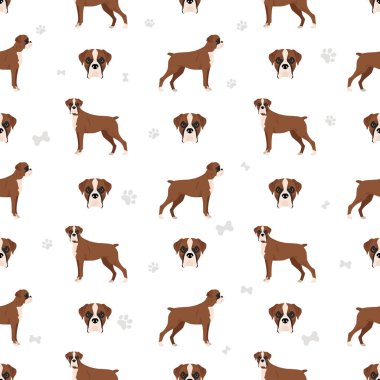 Boksör köpeği kusursuz desen. Vektör illüstrasyonu
