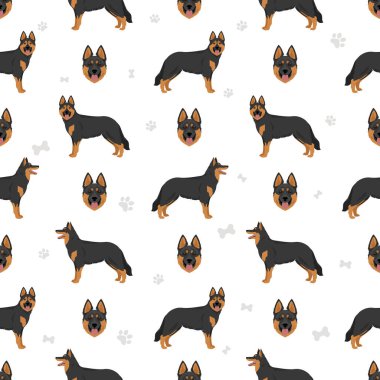 Bohem çoban köpeği kusursuz desen. Vektör illüstrasyonu