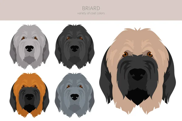 Briard Dog Clipart Tutti Colori Del Cappotto Impostati Posizione Diversa — Vettoriale Stock