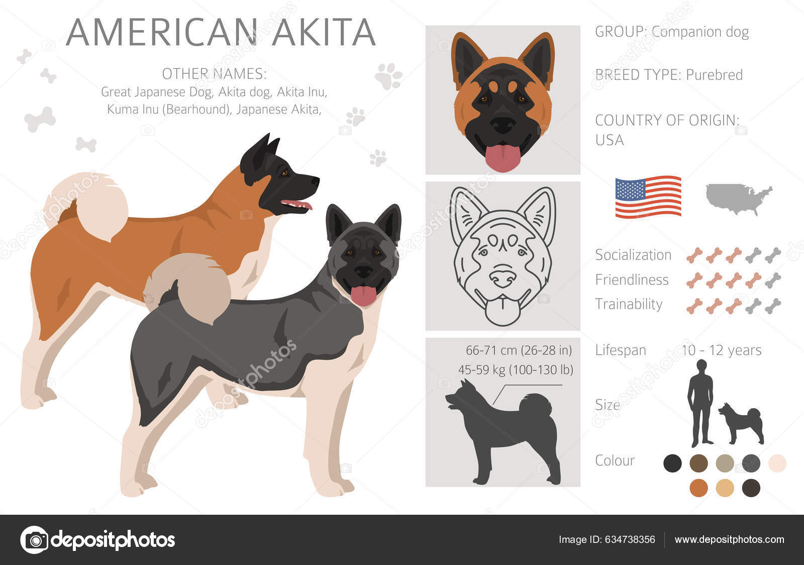 Different Types Of Akitas What Is The Difference Between Shiba Inu