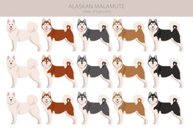 Alaska 'da her renkten insan tırmalanır. Farklı ceket renkleri ve pozlar. Vektör illüstrasyonu