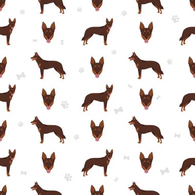Australian Kelpie all colours seamless pattern. Vector illustration