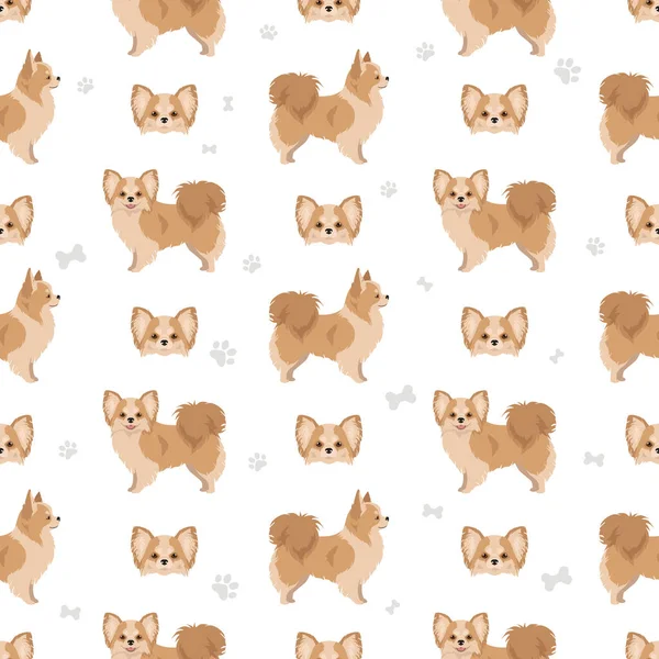 Chihuahua Long Haired Seamless Pattern Vector Illustration — Vector de stock