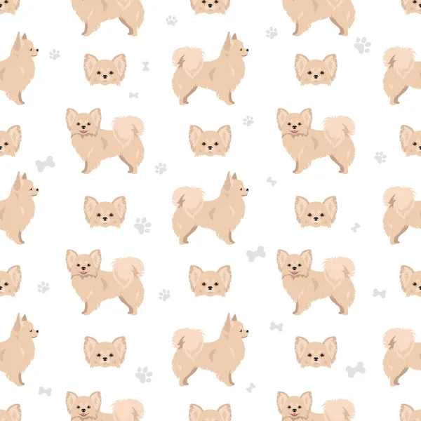 Chihuahua Long Haired Seamless Pattern Vector Illustration — Vector de stock