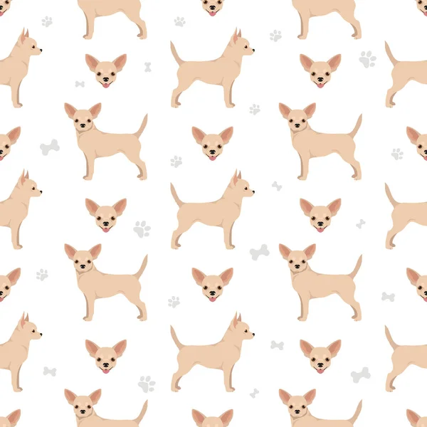 Chihuahua Short Haired Seamless Pattern Vector Illustration — Stockvector