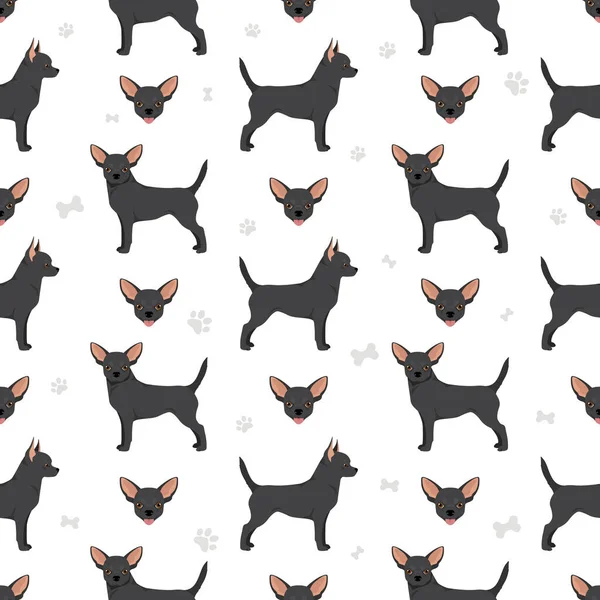 Chihuahua Short Haired Seamless Pattern Vector Illustration — Stok Vektör