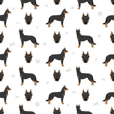 Beauceron dog, French shepherd seamless pattern. Vector illustration