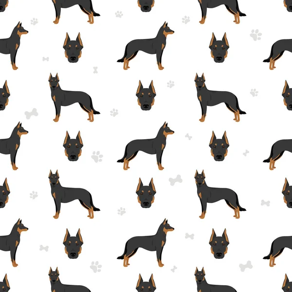 Beauceron dog, French shepherd seamless pattern. Vector illustration