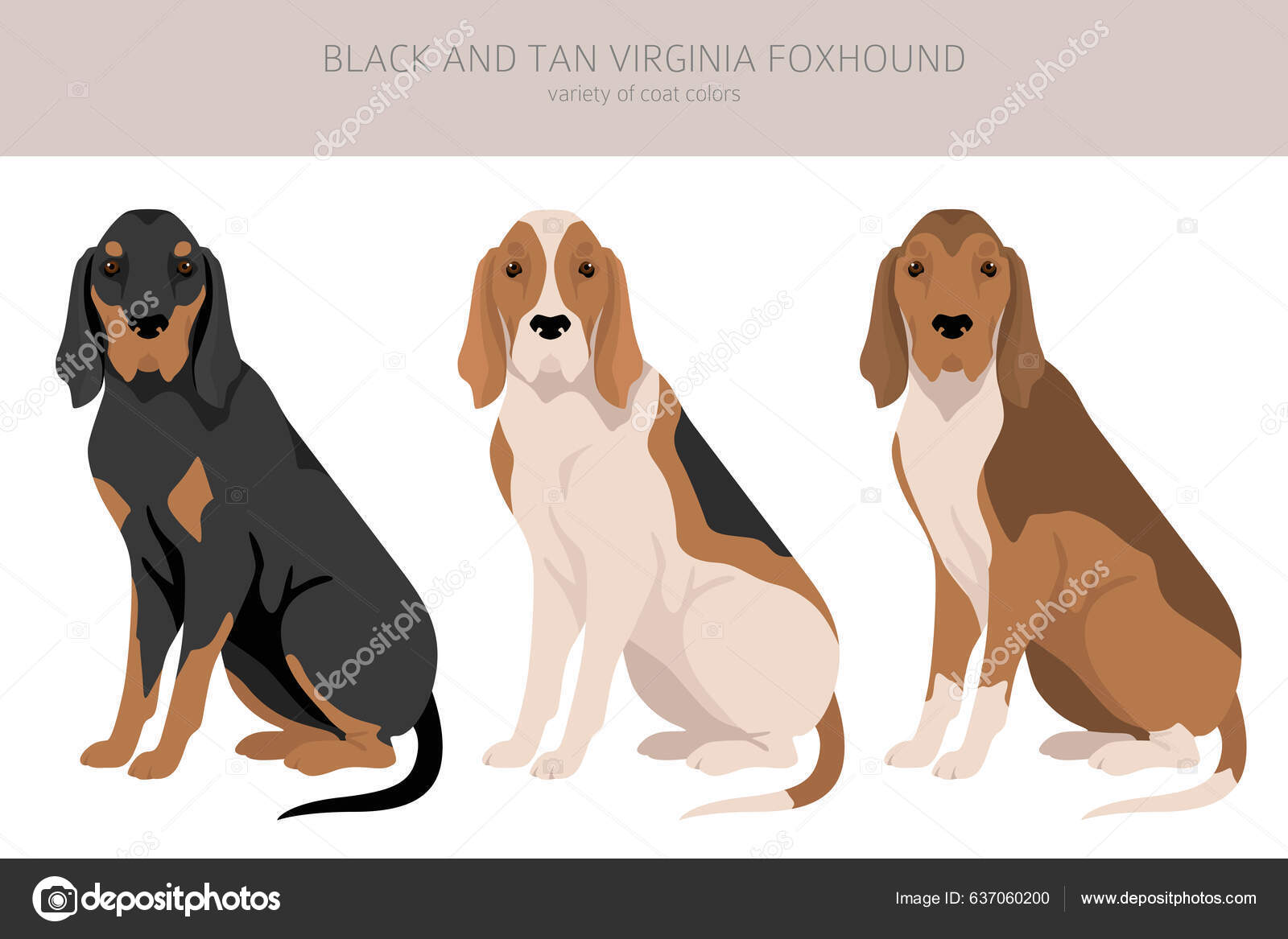 Black Tan Virginia Foxhound Clipart Different Coat Colors Poses Set