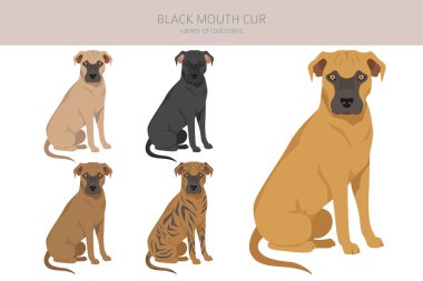 Kara ağızlı it sürüsü. Farklı ceket renkleri ve pozlar. Vektör illüstrasyonu