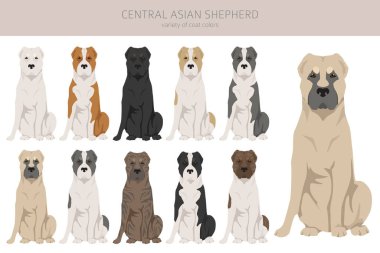 Orta Asya çoban köpeği Clipart. Farklı pozlar, farklı renkler. Vektör illüstrasyonu