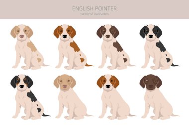 İngilizce işaret klipsi. Farklı pozlar, farklı renkler. Vektör illüstrasyonu