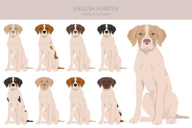 İngilizce işaret klipsi. Farklı pozlar, farklı renkler. Vektör illüstrasyonu