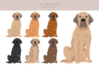 Fila Brasileiro tırmanışı. Farklı pozlar, farklı renkler. Vektör illüstrasyonu