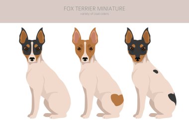Fox Terrier minyatür klipsi. Farklı ceket renkleri. Vektör illüstrasyonu