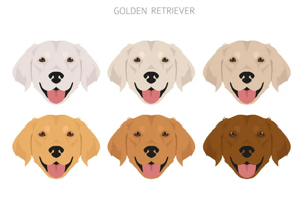 Golden Retriever Hundar Olika Poser Och Päls Färger Clipart Vektorillustration — Stock vektor