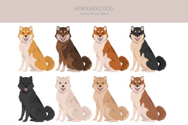 Hokkaido dog, Ainu dog clipart. Different poses, coat colors set.  Vector illustration clipart