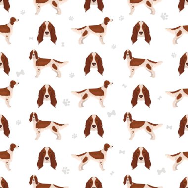 İrlanda kırmızı ve beyaz seter desensiz. Vektör illüstrasyonu