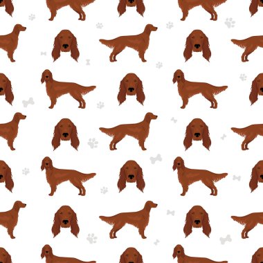 İrlandalı kırmızı seter kusursuz desen. Vektör illüstrasyonu