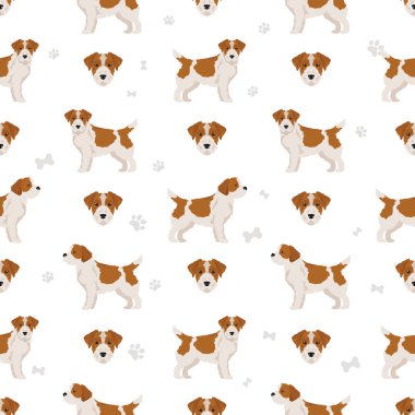 Jack Russel Teriyeri kusursuz bir model. Vektör illüstrasyonu