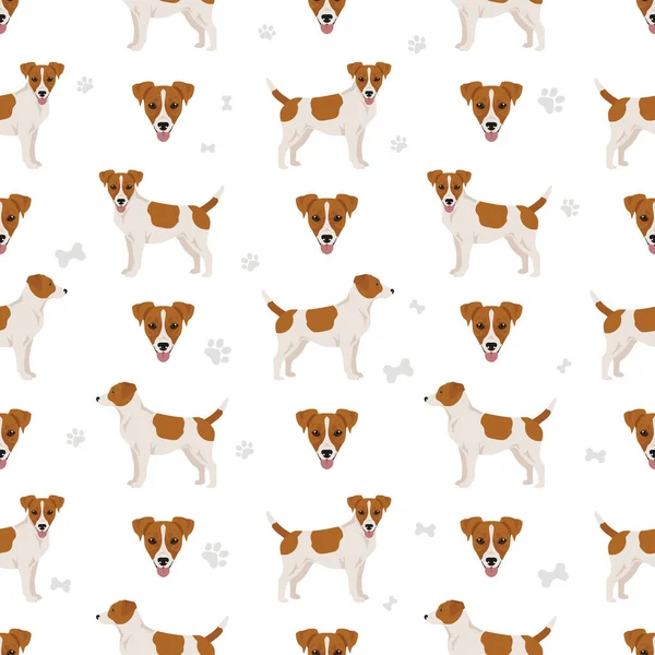 Jack Russel Terrier Patrón Sin Costuras Ilustración Vectorial — Vector de stock