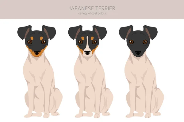 Clipart Terrier Japonés Distintas Poses Colores Del Abrigo Establecidos Ilustración — Archivo Imágenes Vectoriales