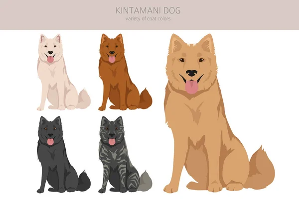 Κινταμάνι Μπαλί Κλιπ Σκύλου Διαφορετικό Σύνολο Χρωμάτων Παλτό Εικονογράφηση Διανύσματος — Διανυσματικό Αρχείο
