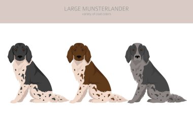Büyük Munsterlander Clipart. Farklı ceket renkleri. Vektör illüstrasyonu