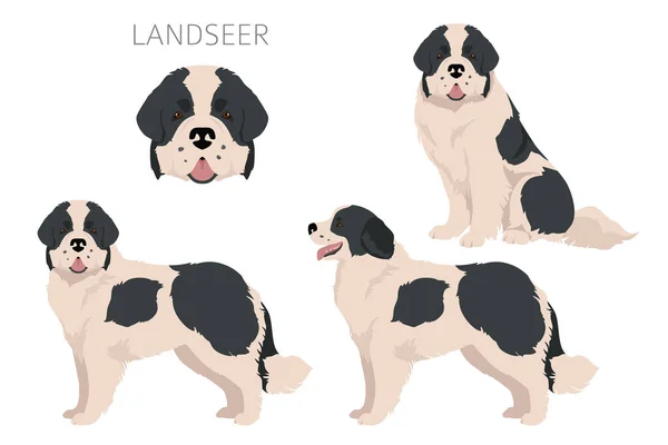 Κλιπ Σκύλου Landseer Διαφορετικό Σύνολο Χρωμάτων Παλτό Εικονογράφηση Διανύσματος — Διανυσματικό Αρχείο