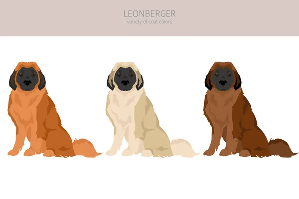 Leonberger Klipsi Farklı Pozlar Farklı Renkler Vektör Illüstrasyonu — Stok Vektör