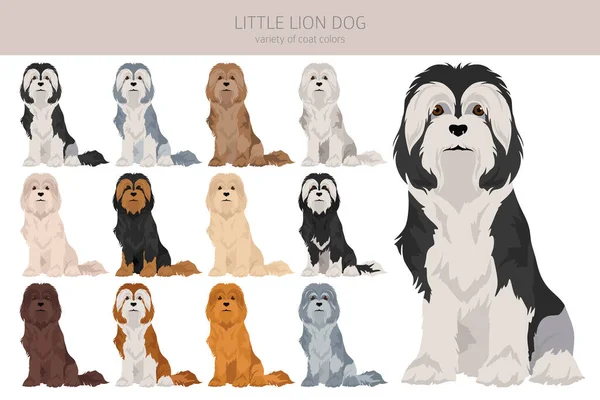 Μικρό Κλιπ Σκύλου Λιοντάρι Διαφορετικές Πόζες Σετ Χρωμάτων Εικονογράφηση Διανύσματος — Διανυσματικό Αρχείο