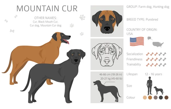 Dağ Köpeği Klipsi Farklı Pozlar Farklı Renkler Vektör Illüstrasyonu — Stok Vektör